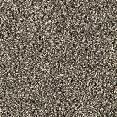 Mohawk EverStrand Assorted Elements II Steelbeam