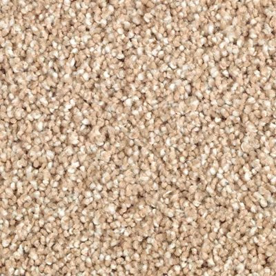 Mohawk SmartStrand Silk Wrought Iron Maple Tint