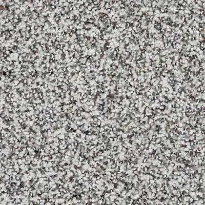 Mohawk SmartStrand Silk Natural Opulence II Winter'S End