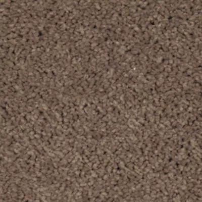 Mohawk SmartStrand Silk Garden Club Rich Earth
