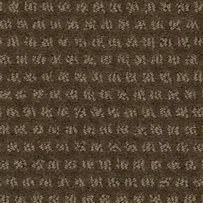 Mohawk SmartStrand Natural Intuition Cat-Tail