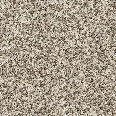 Mohawk PetPremier Diffurent Choice II North Winds