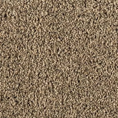 Mohawk SmartStrand Silk Luxuriant Surface Halo