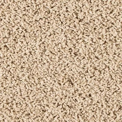 Mohawk PetPremier Diffurent Choice III Sandy Beach