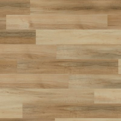 Mohawk SolidTech Select Shoreline