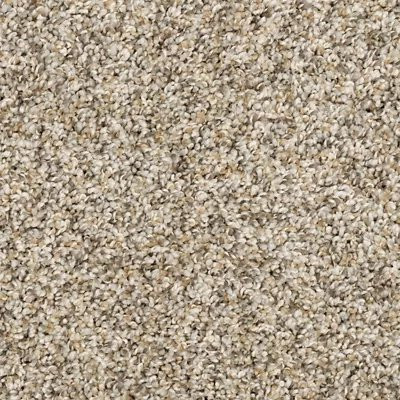Mohawk PetPremier Diffurent Choice I Soapstone