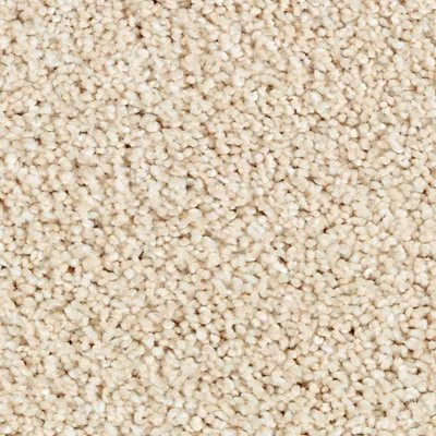 Mohawk SmartStrand Silk Wrought Iron Antique Ivory