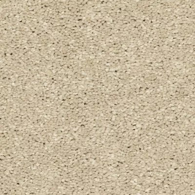 Mohawk EverStrand Modern Story III Stone Lion