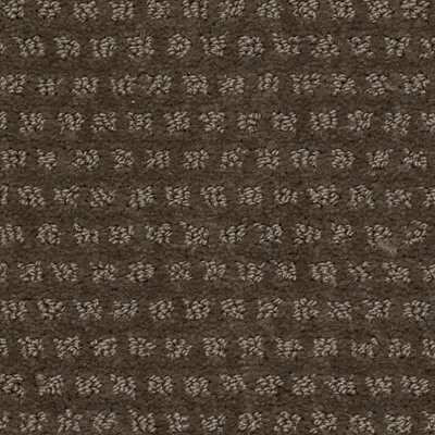 Mohawk SmartStrand Natural Intuition Earthworks