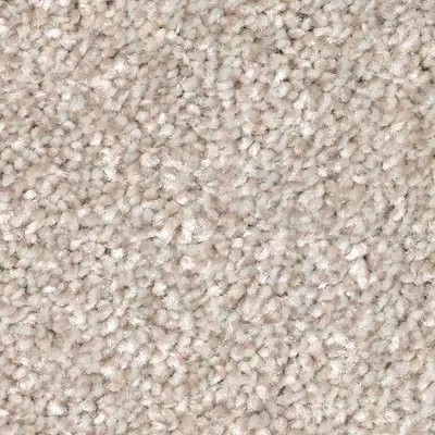 Mohawk SmartStrand True Unity Turnstone