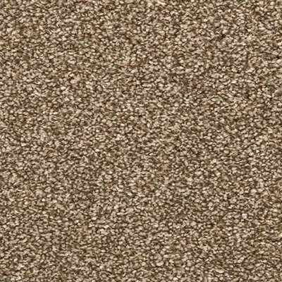 Mohawk EverStrand Dynamic Quality I Spice Cake