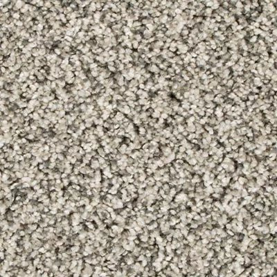 Mohawk EverStrand Assorted Elements I Silver Dollar