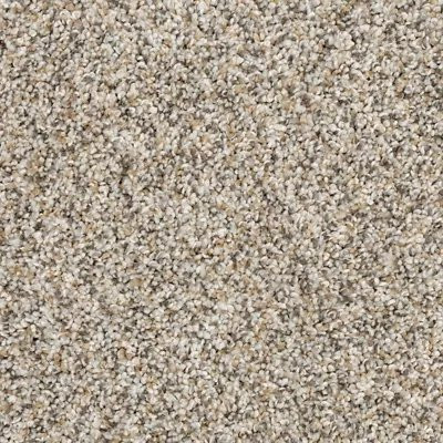 Mohawk PetPremier Claws And Effect II Soapstone