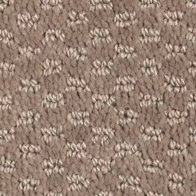 Mohawk EverStrand Dynamo Havana Tan