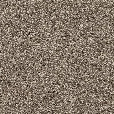 Mohawk PetPremier Diffurent Choice I Gravity