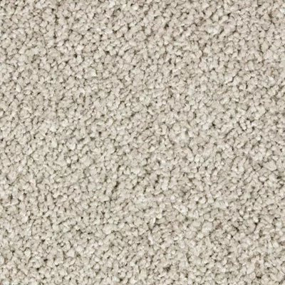 Mohawk SmartStrand Silk Garden Bramble Rustic Charm
