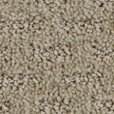 Mohawk EverStrand Stylish Tones Dignified