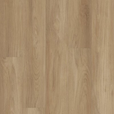 Shaw Distinction Plus Hazelnut Brown