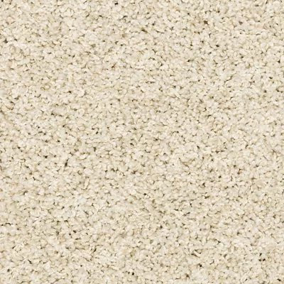 Mohawk PetPremier Purrsonality III Canvas Cloth