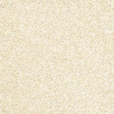 Mohawk SmartStrand Silk Deep Slate Sand Dollar