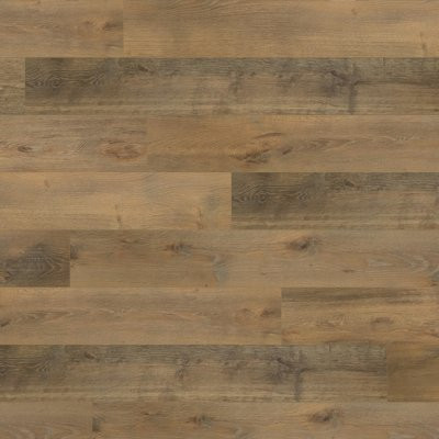 Mohawk PureTech Plus Nature Walk Oak