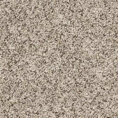 Mohawk PetPremier Diffurent Choice III North Winds