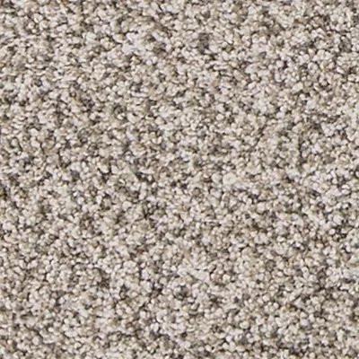 Mohawk PetPremier Canine Comfort Frosty Spice