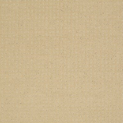 Shaw Enduring Comfort Pattern Chamois