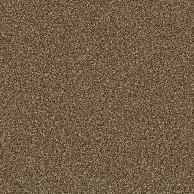 Shaw Break Away - Berber Good Earth