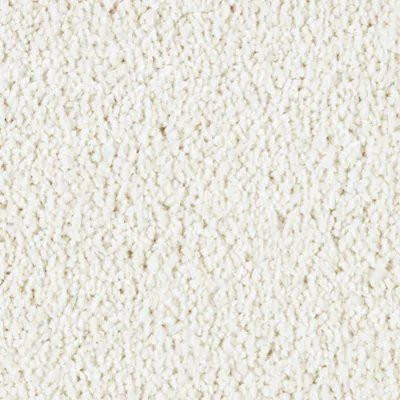 Mohawk SmartStrand Silk Garden Bramble High Style