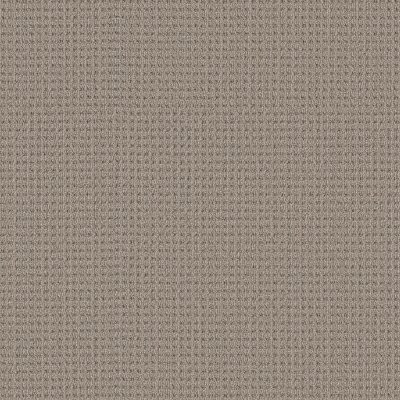 Shaw Finely Detailed Natural Sisal