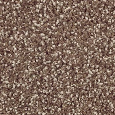 Mohawk SmartStrand Silk Wrought Iron Dried Peat