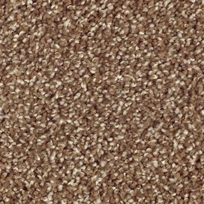 Mohawk SmartStrand Silk Wrought Iron Cat-Tail