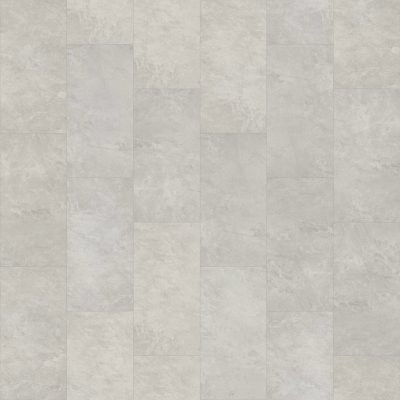 Shaw Paragon Tile Plus Pearl