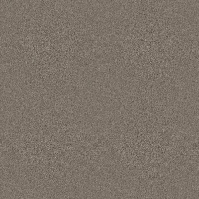 Shaw Cabana Life (B) Granite