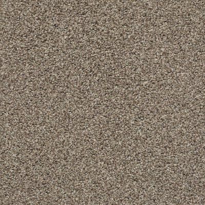 Shaw Poised Chic Taupe