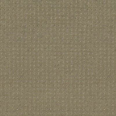 Shaw Alluring Disposition Mocha