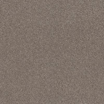 Shaw Truspirit II Truffle