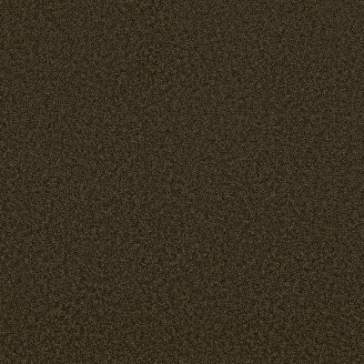 Shaw Parlay Truffle
