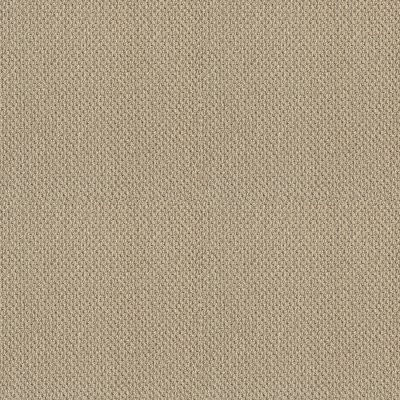 Shaw Timeless Charm Loop French Linen