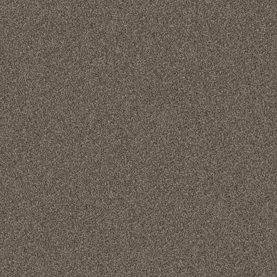 Shaw Yes You Can II 12' Urban Rustic