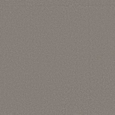 Shaw Awaken Spirit I 12' Boulder Taupe