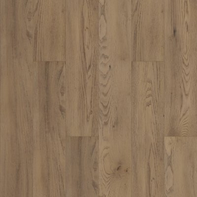 Shaw Paragon HD+ Natural Bevel Magnolia