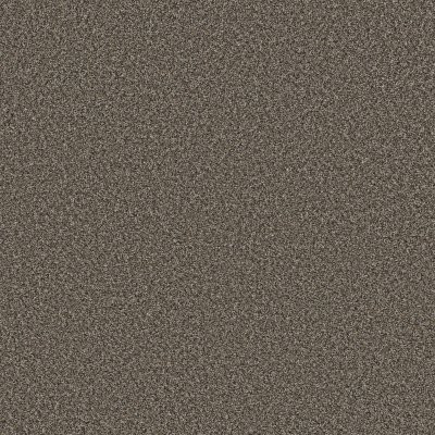 Shaw Remixed Classic Rock Garden