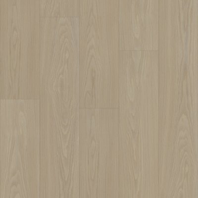 Shaw Distinction Plus Earthy Taupe