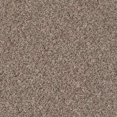 Shaw Cabana Bay (B) Brown Reed
