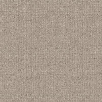 Shaw Sensible Now Studio Taupe