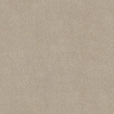 Shaw Good Idea Practical Beige
