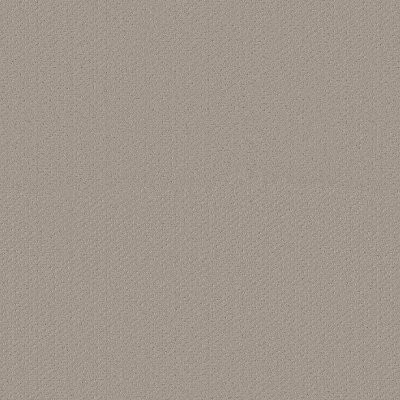 Shaw Infallible Instinct Studio Taupe