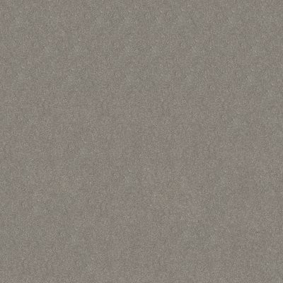Shaw Solidify II 12' Taupe Stone